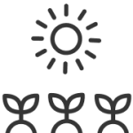 sun_with_flowers