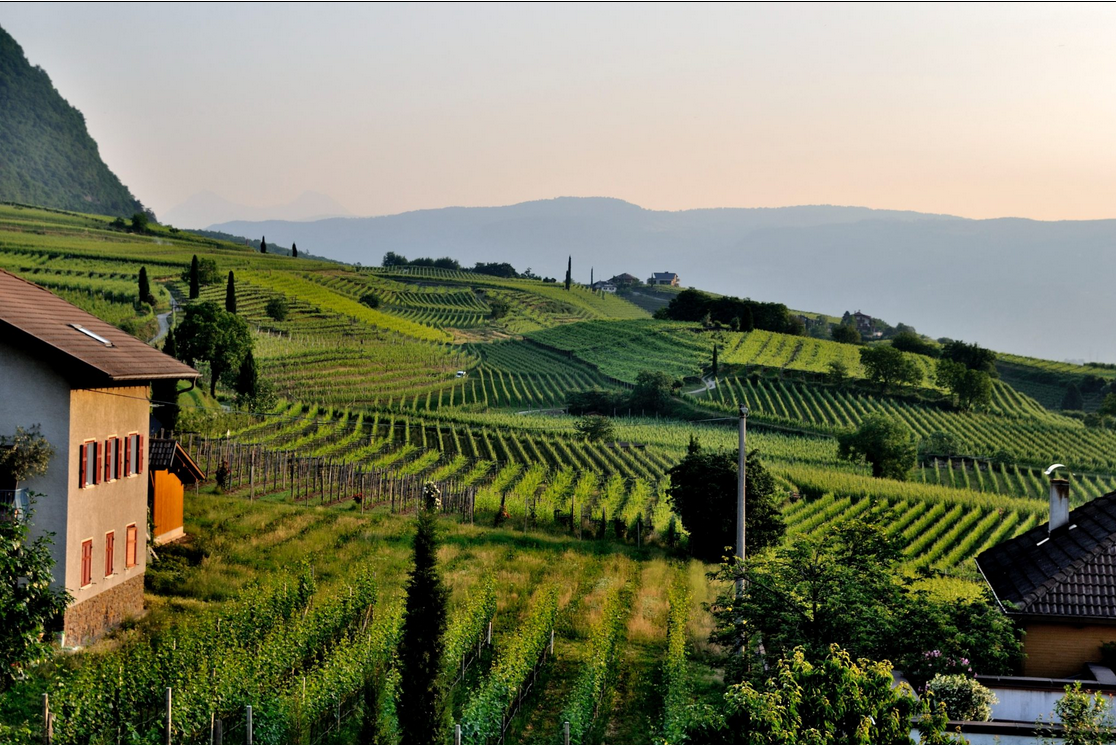 Finapp per l'agricoltura